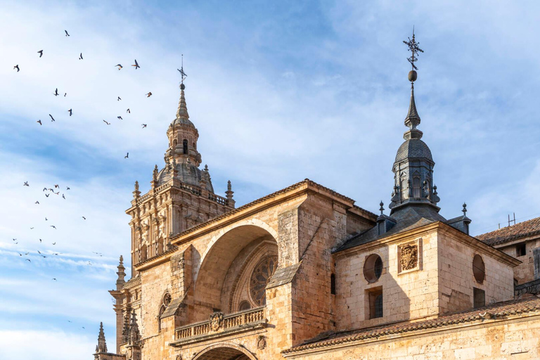 Guided tour of Burgo de Osma (by ECO-BUS)