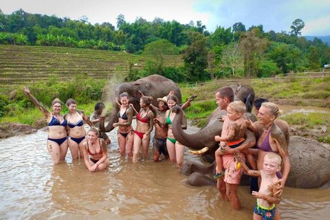 مغامرة لمدة 2-3 أيام في شيانغ ماي: قبائل التلال والفيلة والنهر2 أيام 1 ليلة واحدة: الحياة المحلية ورعا