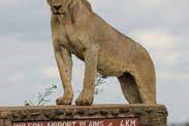 Game Drive w Parku Narodowym Nairobi