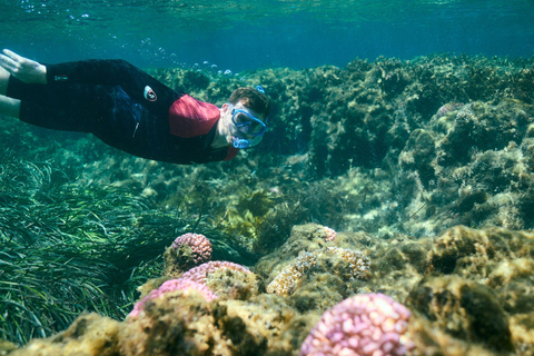Rottnest Island: Guided Snorkeling Boat Tour with Gear