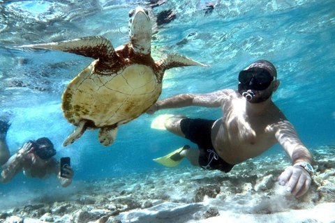 Gili Air : Snorkelen zwemmen met schildpad &amp; standbeeld