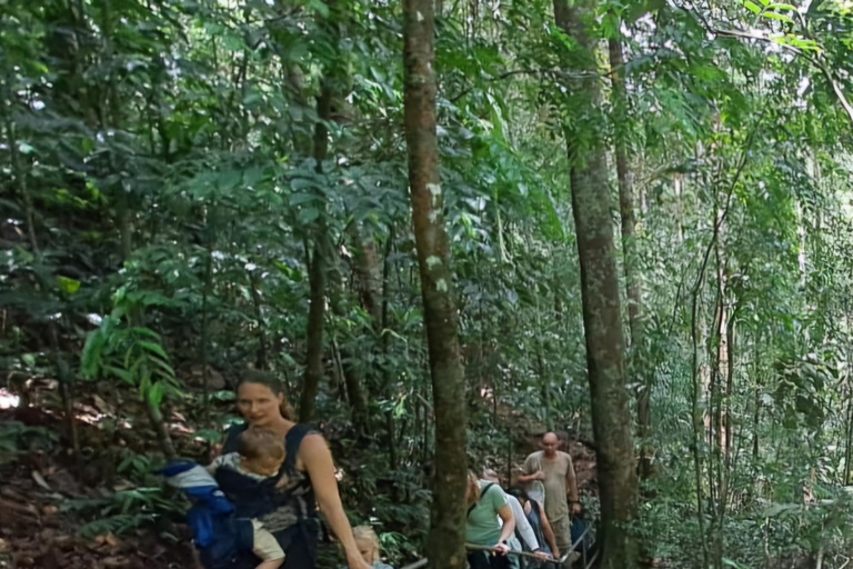 辛哈拉加雨林之旅