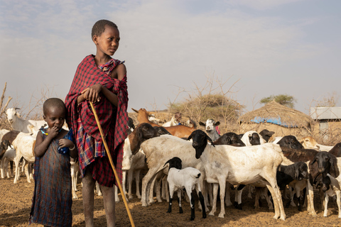 أروشا: نزهة على الأقدام في كليمنجارو وتارانجير ونجورونجورو لمدة 3 أيام