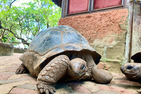Zanzibar: Nakupenda Sandbank & Prison con Pranzo Incluso Honeymoon & Wedding Anniversary