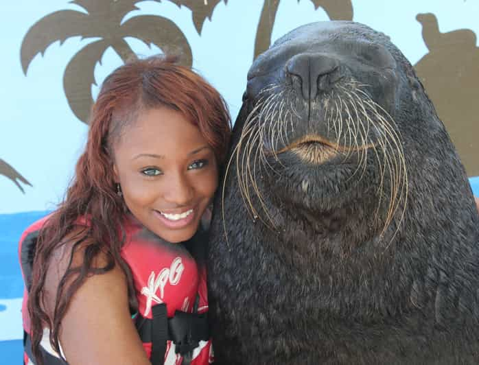 Coral World Ocean Park Tickets and Sea Lion Swim | GetYourGuide