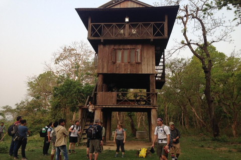 Katmandu: 4-dniowa prywatna wycieczka safari po Parku Narodowym Chitwan