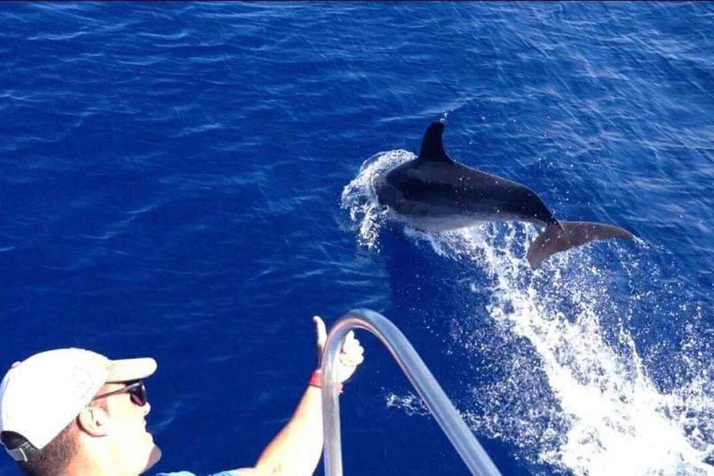 Los Cristianos: Eco Yacht Whale Watching Tour at Sunset