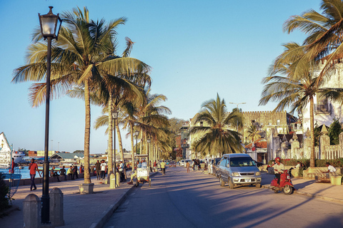 Paje: Privé Transfers van Stone Town naar PajePaje Zanzibar: Privétransfers naar Paje vanuit Stone Town