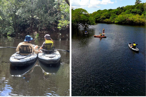 Manaus: 3, eller 5 dagar i Amazonas Tour i Tucanos Lodge