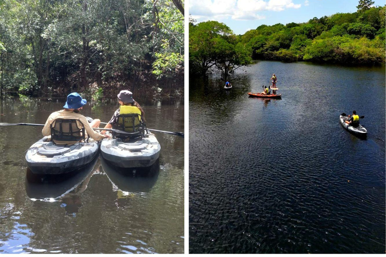 Manaus: Tour de 3 o 5 días por la Amazonia en Tucanos Lodge