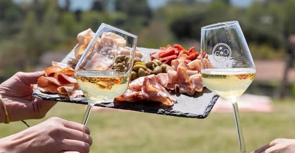 Lake Bracciano: Tour and Wine Tasting at a Local Winery