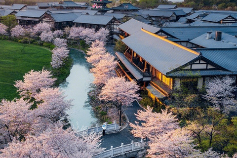 نانجينغ: جولة جيانجنان لمدة 6 أيام مع وجبات الطعام والفنادق