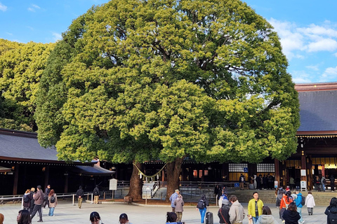 Tokyo Luxury Private City Tour Customizable with Guide