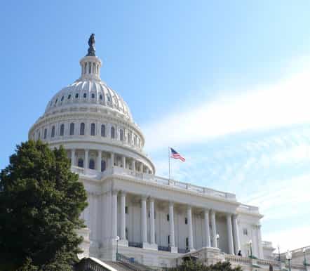 washington d.c. escorted day trip from new york by bus