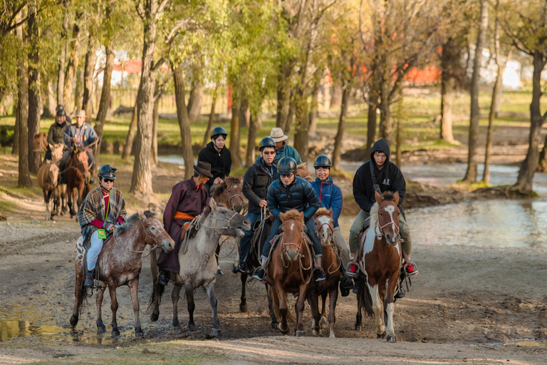 Horseback Riding Tour to Turtle Rock & Aryabal Brief Introduction to Mongol Horse