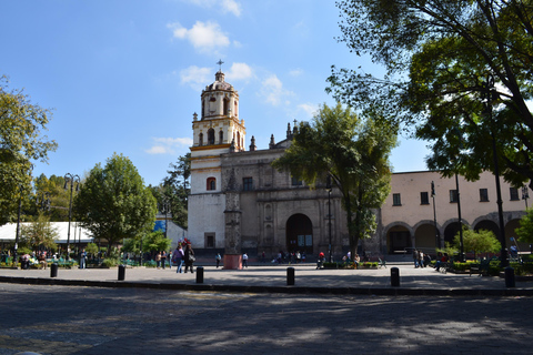 Visite privée de Xochimilco et Coyoacan + transportSolo Tour (Visite privée pour 1 personne)