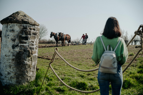 Belfast: Biglietto d&#039;ingresso per l&#039;Ulster Folk Museum