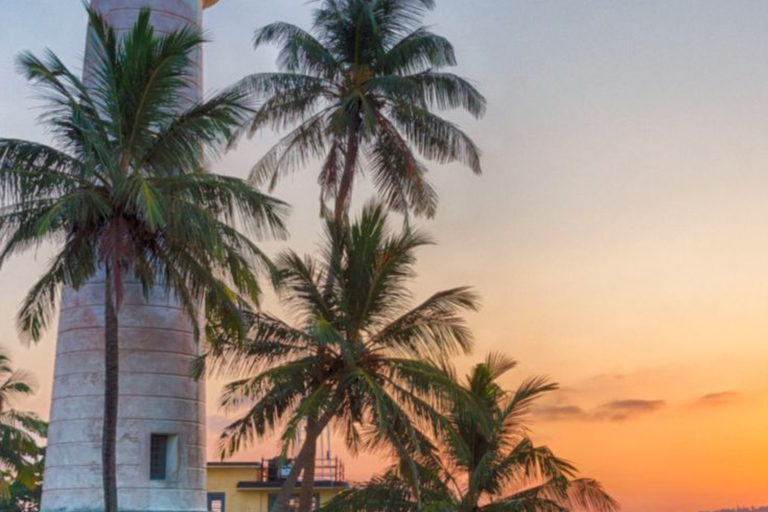 Colombo: Galle Day Tour Coastal Train Ride with Female Guide