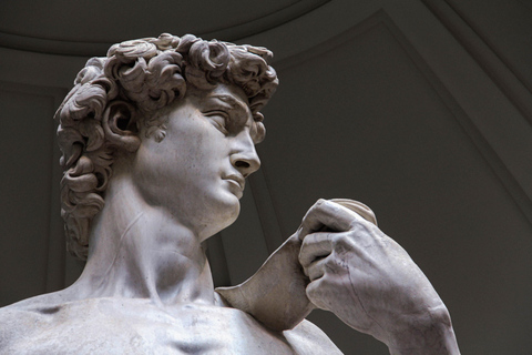 Florence: Michelangelo&#039;s David Accademia Guided TourMichelangelo&#039;s David Accademia Guided Tour in French