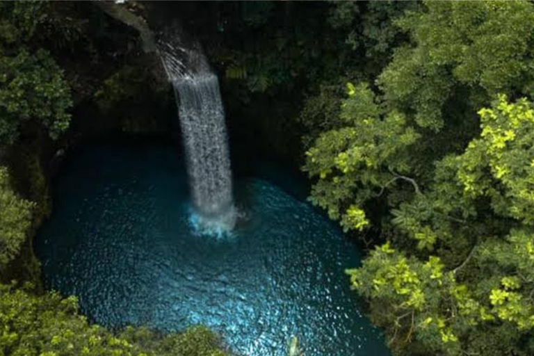 Bali: All-Inclusive Ubud Highlights Tour