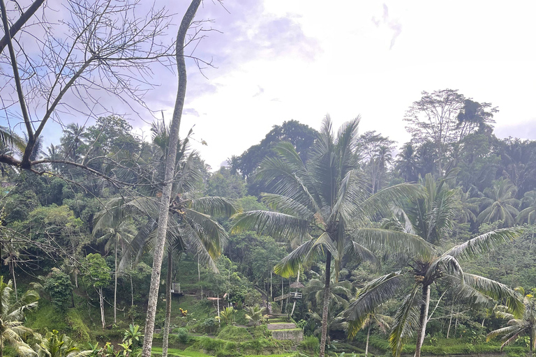 Full Day Tour To Ubud Included Ticket