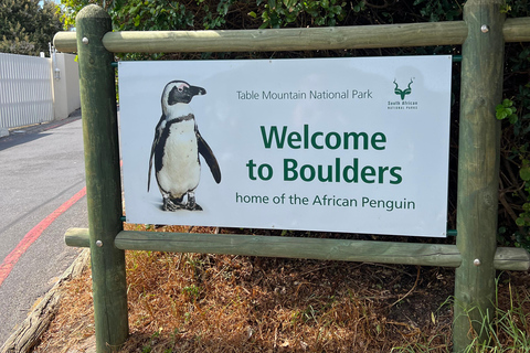 Cape of Good Hope, Chapman's Peak Drive, Penguins , Seals