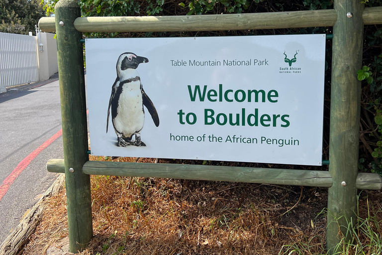 Cape of Good Hope, Chapman's Peak Drive, Penguins , Seals
