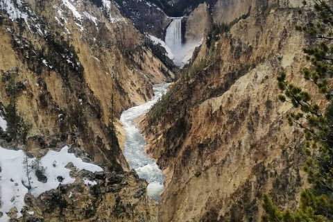 Depuis Jackson : tour de la boucle inférieure de YellowstoneVisite privée - 9 personnes maximum