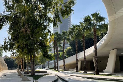 Nicosia & Larnaca bus tour in Italian language