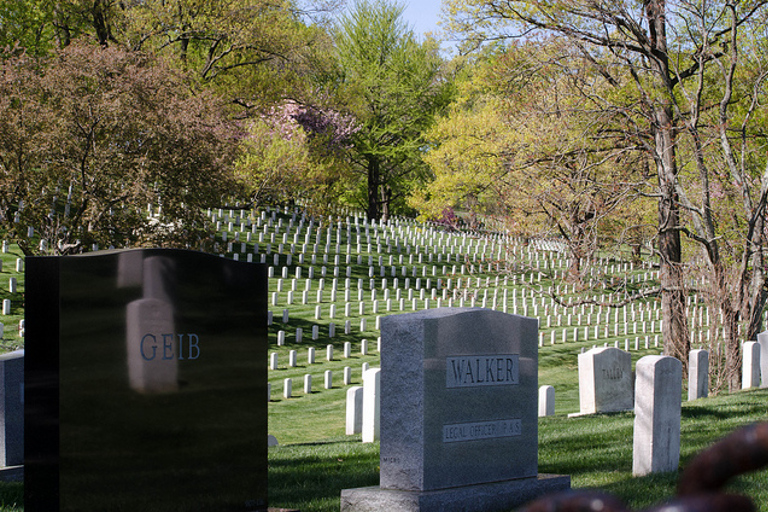 Washington: tour in tram e cimitero nazionale di Arlington