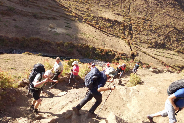 Von Gondar aus: 7-tägiger Simien Mountains Trek mit Camping