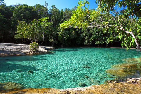 Krabi: Grotta della Tigre, sorgenti termali e tour della giungla della piscina di smeraldoKrabi: tour nella giungla della Grotta della Tigre, delle sorgenti termali e della Piscina