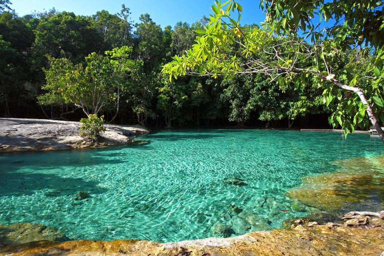 Krabi : Grotte du tigre, sources d'eau chaude et Emerald Pool Jungle Tour