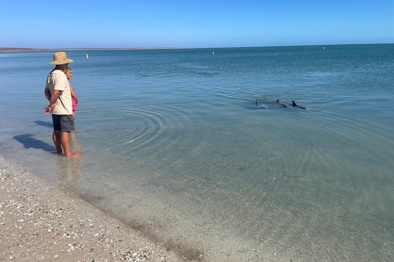 Perth to Broome 10-Day Tour via Ningaloo & Karijini