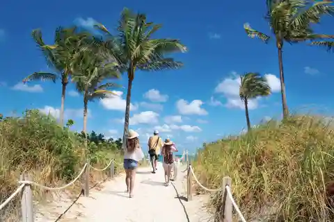 Navetta da Orlando a Miami: Viaggio di sola andata