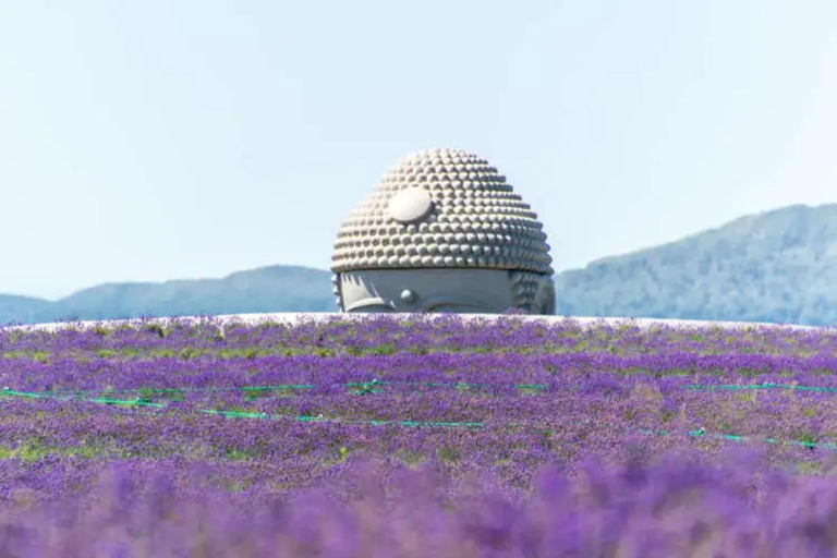 Otaru&Jozankei: Day Tour featuring The Hill of The Buddha Depart From Sapporo Station