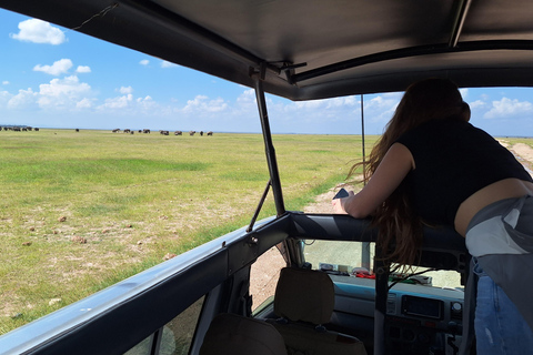 Nairobi: Amboseli National Park Tagestour mit PirschfahrtenSolo Nairobi: Amboseli National Park Tagestour