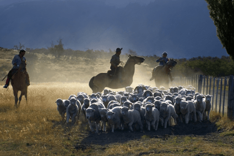 El Calafate: Nibepo Aike Ranch med hästridning