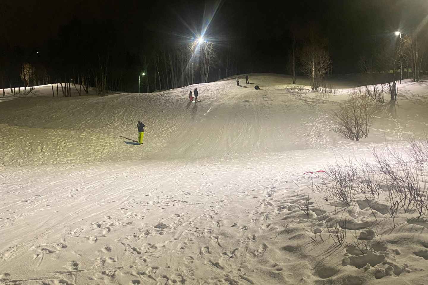 Tromsø Arctic Adventure: Sledging, Lasso, mini skis & More