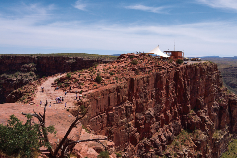 Las Vegas: Volo sul Grand Canyon con ingresso opzionale allo SkywalkTour con ingresso Skywalk