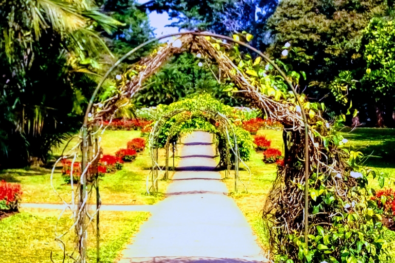 Kandy Royal Botanical Gardens Peradeniya Mit dem Tuk Sri Lanka