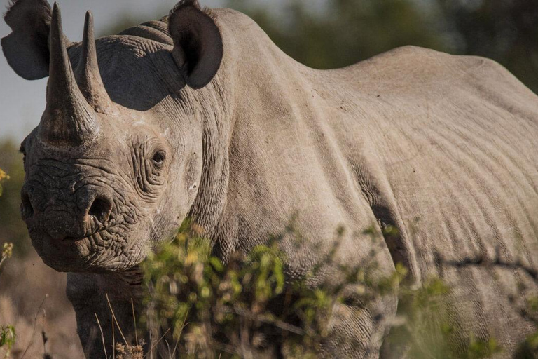 Aberdare National Park Day Excursion From Nairobi Aberdares National Park Day tour From Nairobi