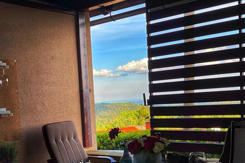 Ljubljana: Wine tasting tour