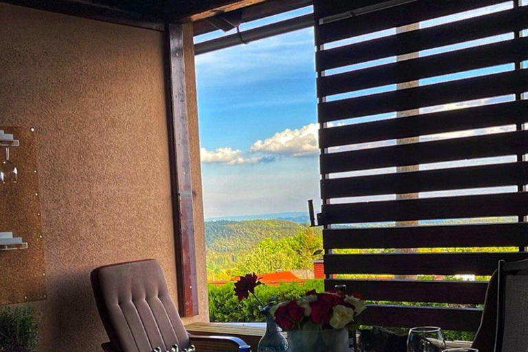 Ljubljana: Wine tasting tour