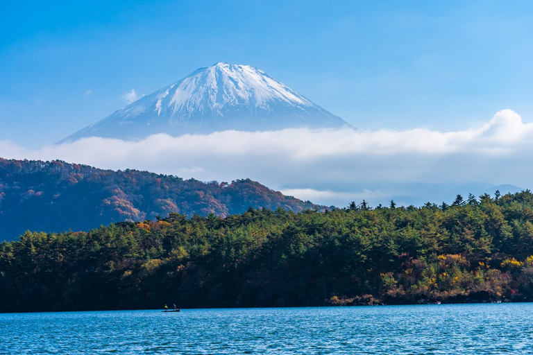 Tokyo: Mt Fuji Customizable Tour with Lakes & Pagoda
