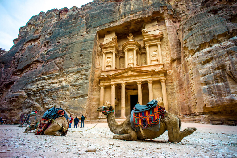 Tour privado de día completo a Petra desde Ammán