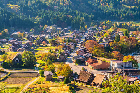 Hida Takayama, Shiragawago UNESCO full-day tour from Nagoya