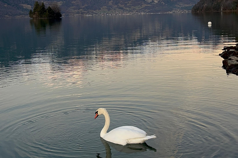 Interlaken: Bootsfahrt zu den Giessbachfällen &amp; Wanderung zum Iseltwald