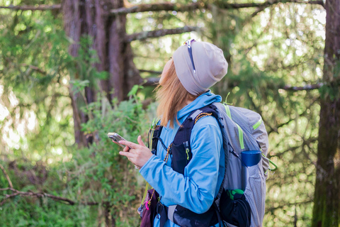 6 giorni di trekking Kilimanjaro Machame Route