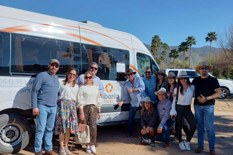 From Tijuana: Valle de Guadalupe Shared Winery Tour